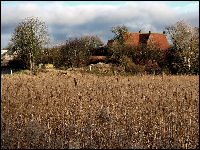 Borreby Herreborg